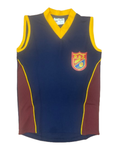 DSJ Sleeveless V-Neck Vest